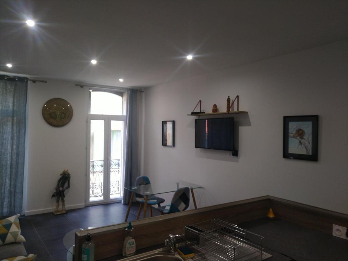 Le Cosy Bear Apartment Перпинян Екстериор снимка